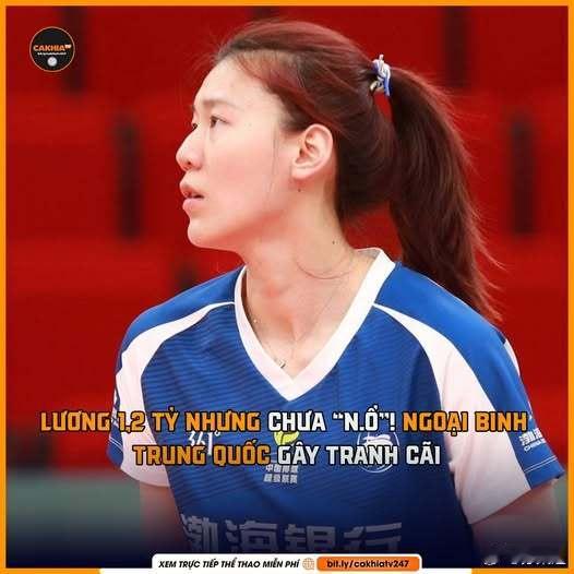 国际排坛动态王艺竹越南媒体又援引中国（自）媒体？的报道，称王艺竹在LP银行打球这