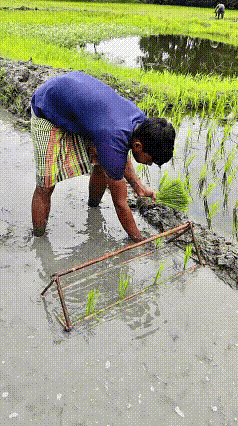 聪明的三哥，值得借鉴[呲牙笑][赞]