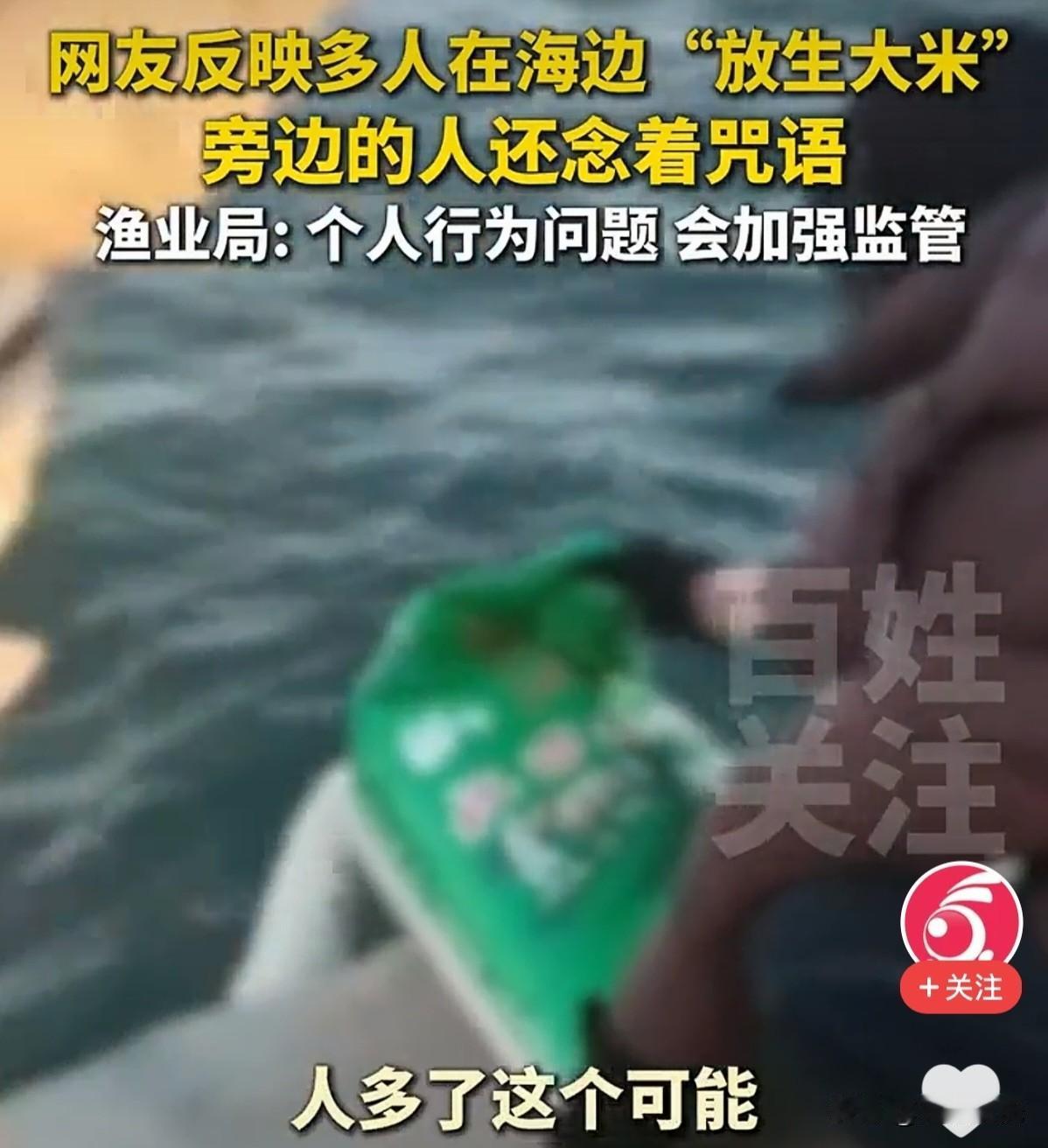 愿意放生大米就让她们放生吧，总比放生蛇、猫、鳄鱼之类的要好多了，至于说浪费粮食、