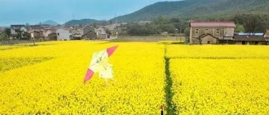 山东，学校组织学生交10元去春游。突然，到地方，一名学生却哭了，老师问:“怎么