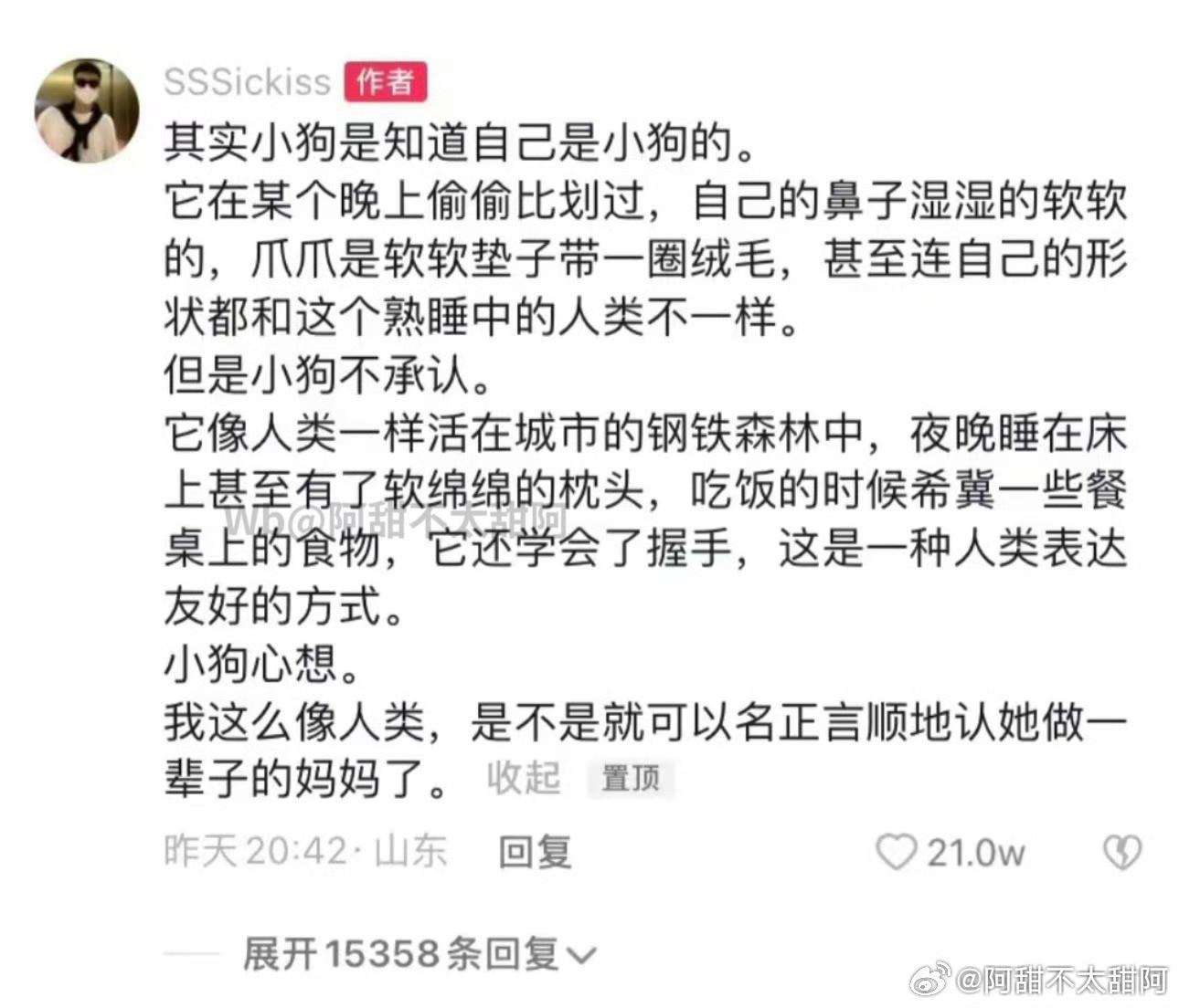 “其实小狗是知道自己是小狗的”呜呜呜我真的代了
