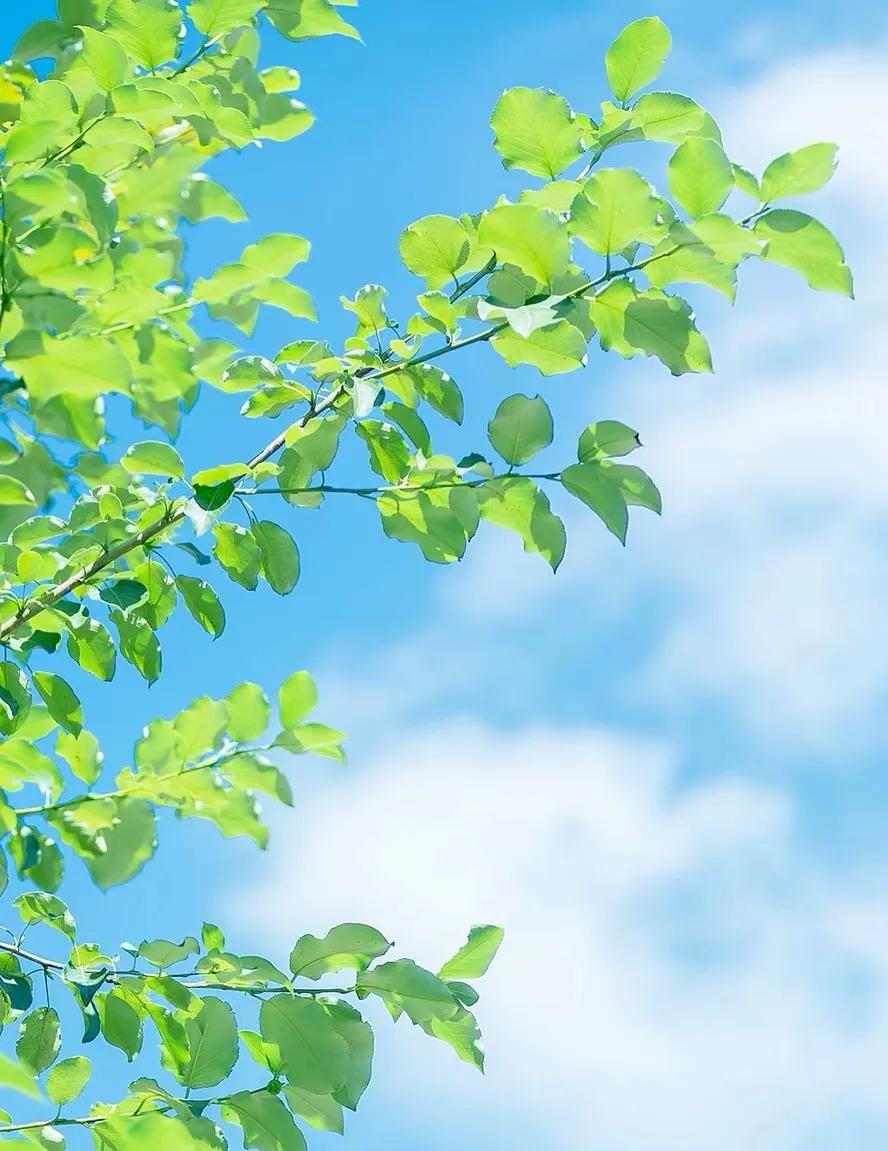 你还去县级医院看病吗？前阶段，我班有一个学生一直咳嗽，而且还经常发烧。我就打电