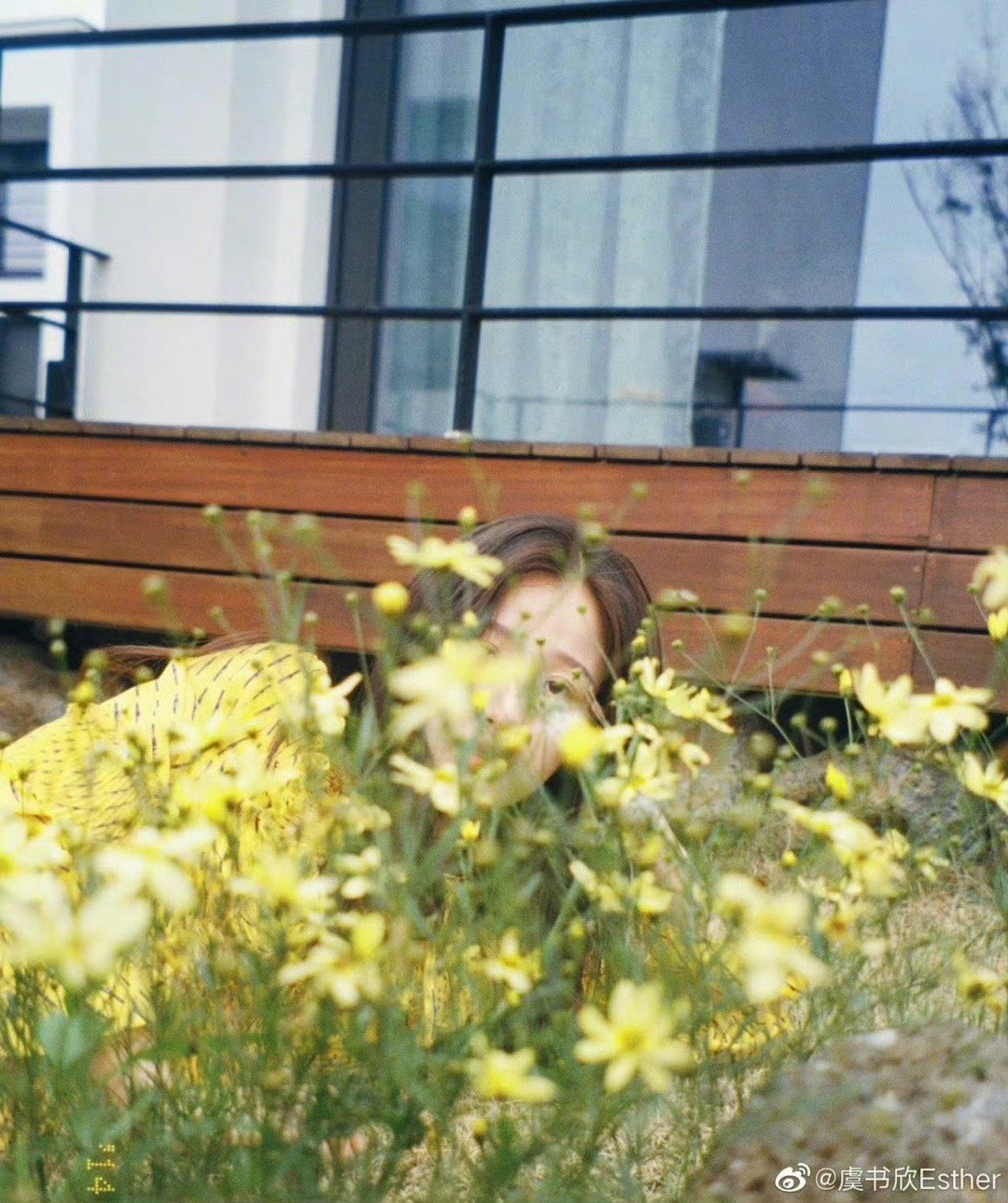 虞书欣2019.6.29🐟💛🌼👧🏻专栏·鱼