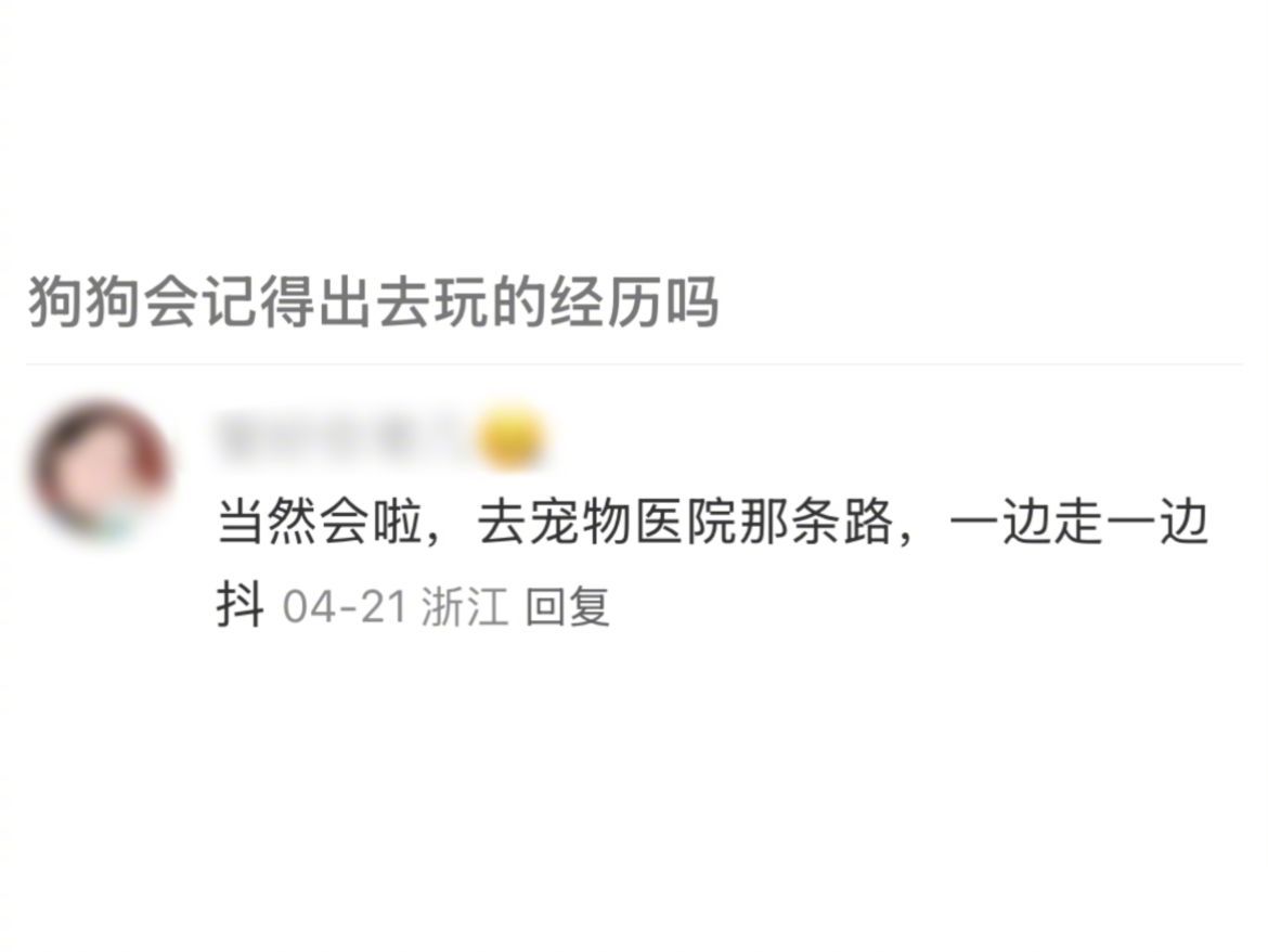 狗子出去玩：嘻嘻去宠物医院：不嘻嘻​​​