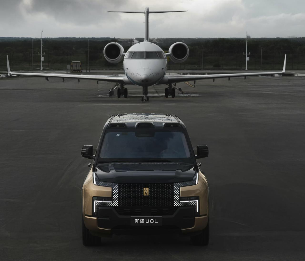 2025年全球汽车市场销量TOP101丰田集团，1042万辆，+6.0%