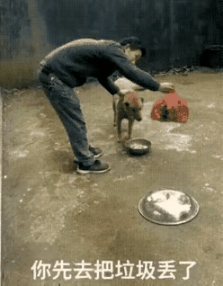 这智商已经赶上我了！[捂脸哭]看看吧！