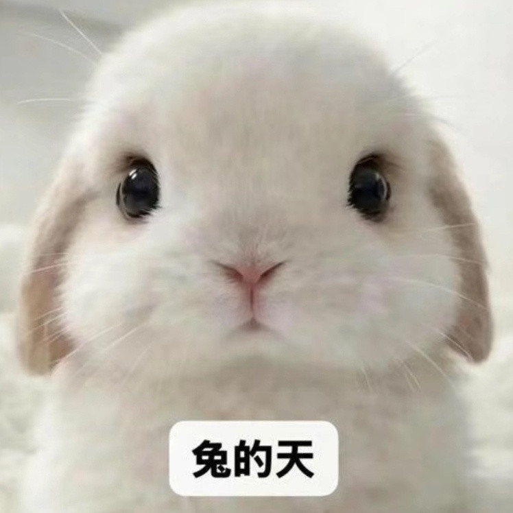 就这样看着你