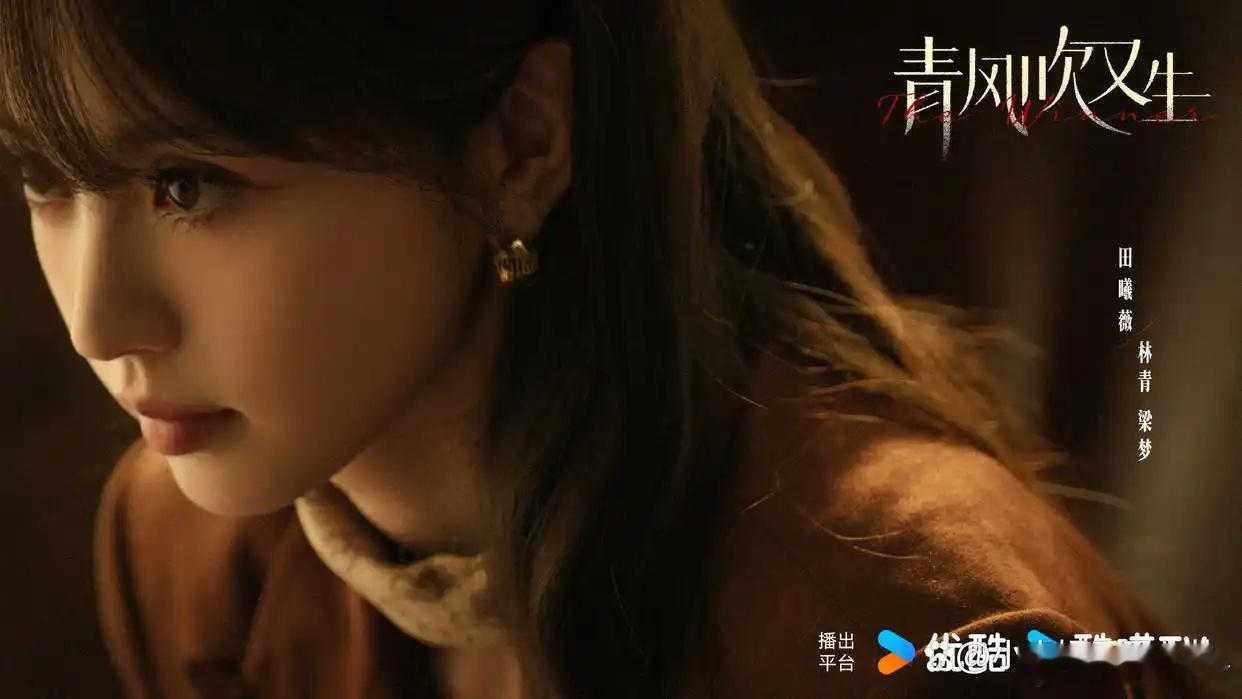 优酷招商大会片单播放量前十，你喜欢的电视剧在里面吗？TOP1《归良辰》：190万