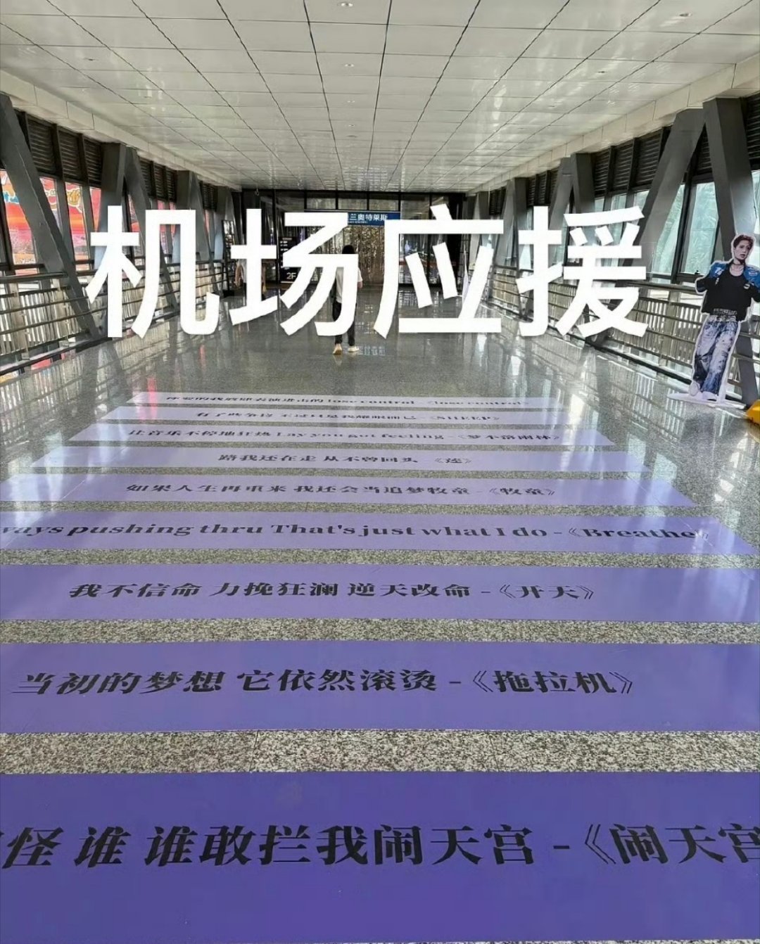 张艺兴海口开演唱会，海口直接被爆改成小绵羊痛城，机场和商城随处都是张艺兴大屏。不