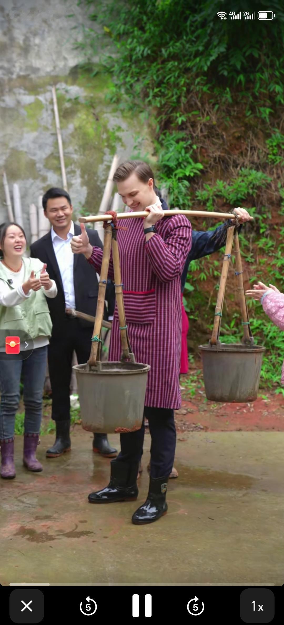 笑死我了，四川网红黄琴让老外挑大粪，我也是第一次看到。也不知道这主意是谁想出