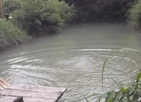 安徽淮南，在饮酒后回家途中，男子去一处鱼塘游泳不幸溺亡。事后，家属将事发前跟死者