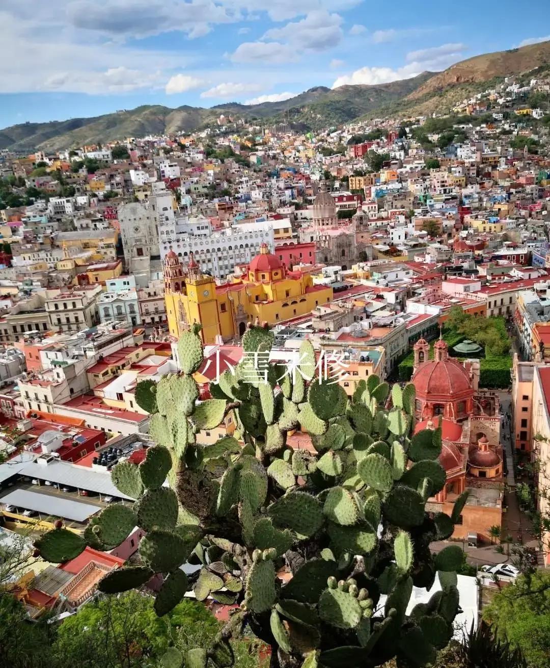 我一直以为美国是养老天堂，最近听了一些事，真是脊背发凉一个干到快70岁退休的公