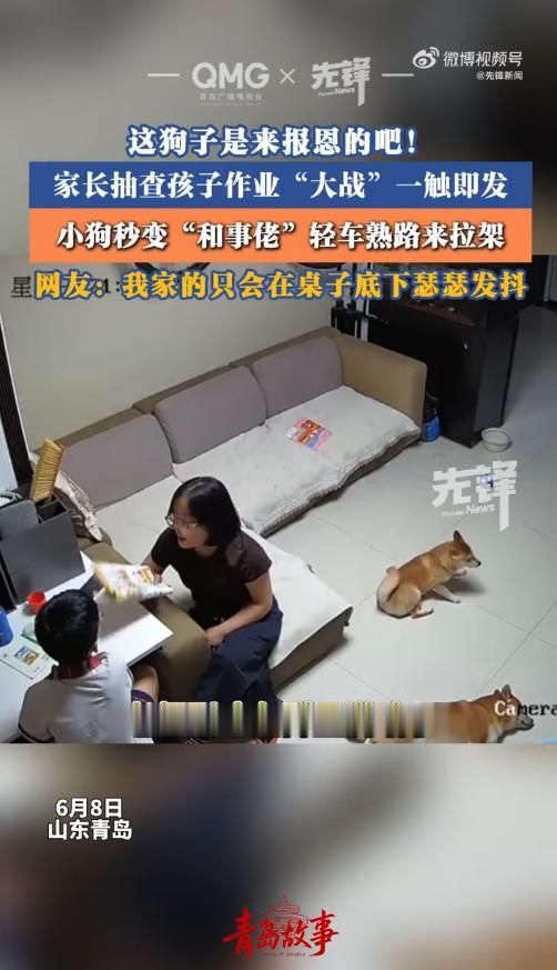 “笑不活了！”6月8日报道，山东青岛，一位妈妈抽查上六年级的儿子作业，结果发现孩