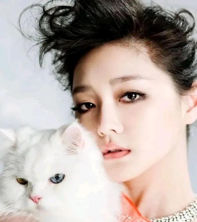 为什么第一眼看过去，这只白色的小宠物猫和大S的神情都有点像？尤其是眼神都蛮像的，