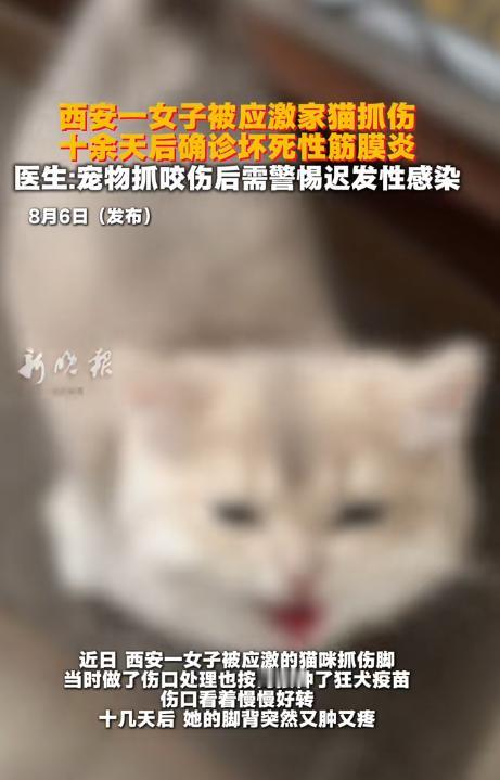 太吓人了！陕西西安，一女子被突然应激的自家猫抓伤足背、脚踝，伤口出血后赶紧去医院