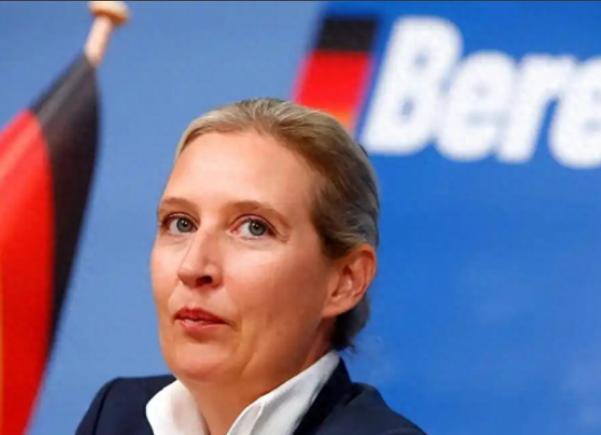 德国政坛这瓜也太刺激了，极右翼选择党主席魏德尔本来风头正劲民调直接碾压老牌大党，