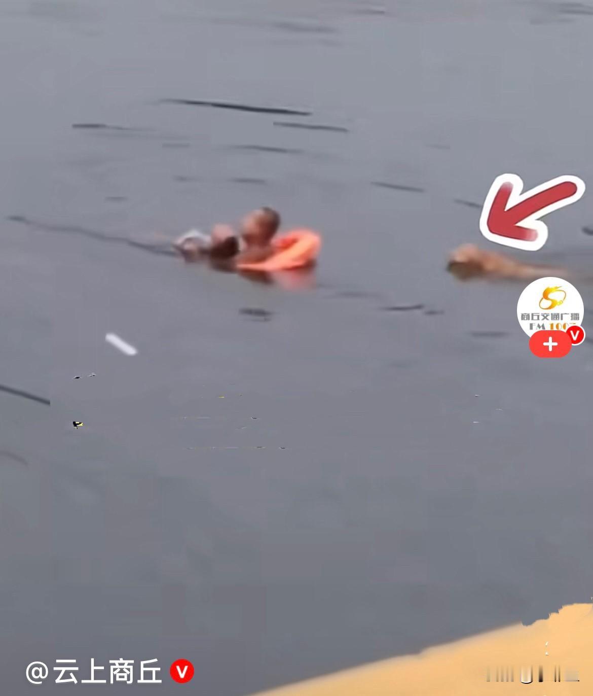 近日，河南许昌一对父子带着自家金毛犬在湖边游玩，孩子在水边玩耍时，不慎脚下打滑，