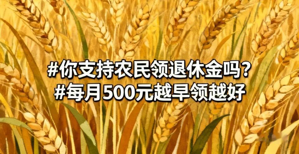 我支持提高农民养老金，但“最低500元”短期内全面落地有现实难度，更可行的路径是