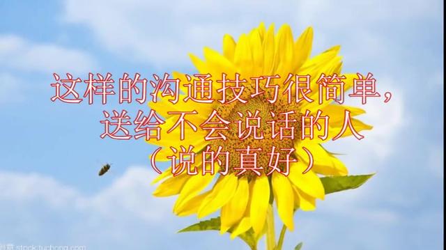 13879803078237050123.jpg?id=0