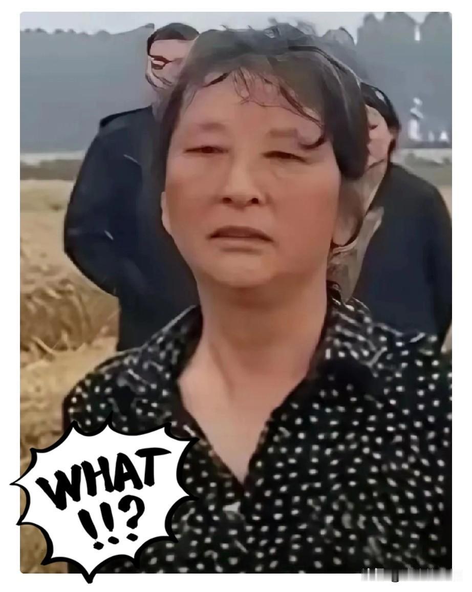这位女士是襄阳人民的功臣，襄阳政府应该嘉奖，是你一天时间让全国人民知道了襄阳，