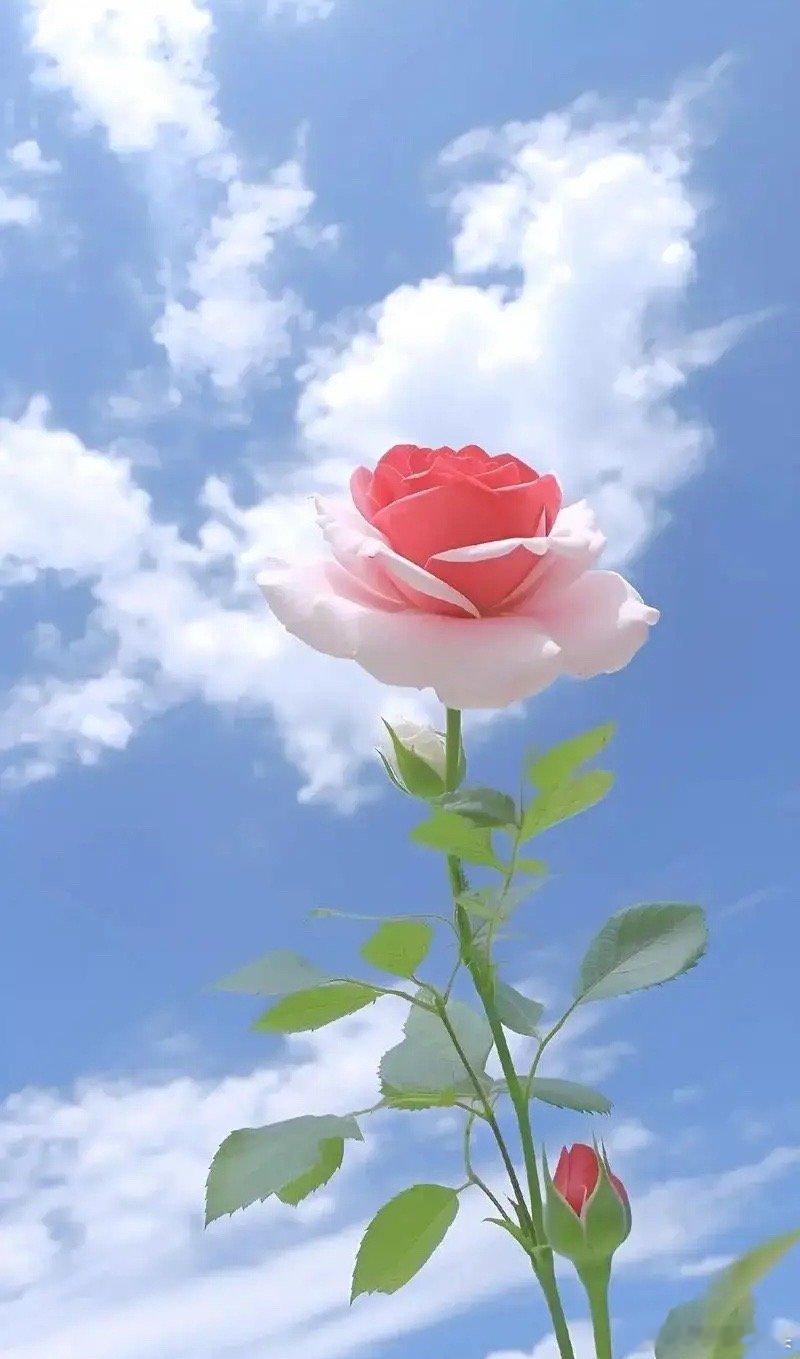 我弟谈了个女朋友，谈了不到一年，春节时我弟还把他女朋友带回家见我爸妈了，我爸妈还