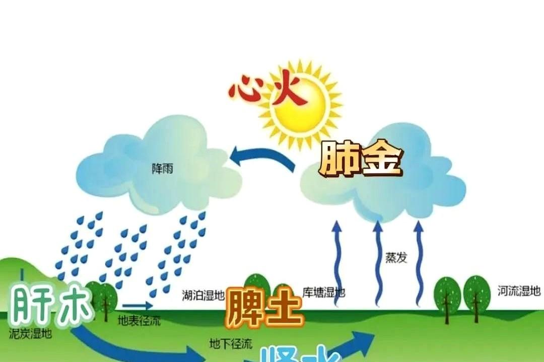 前段时间来了一个虚劳的患者，长期咳嗽，面现菜色，全身浮肿，病历本上的七八个诊断，
