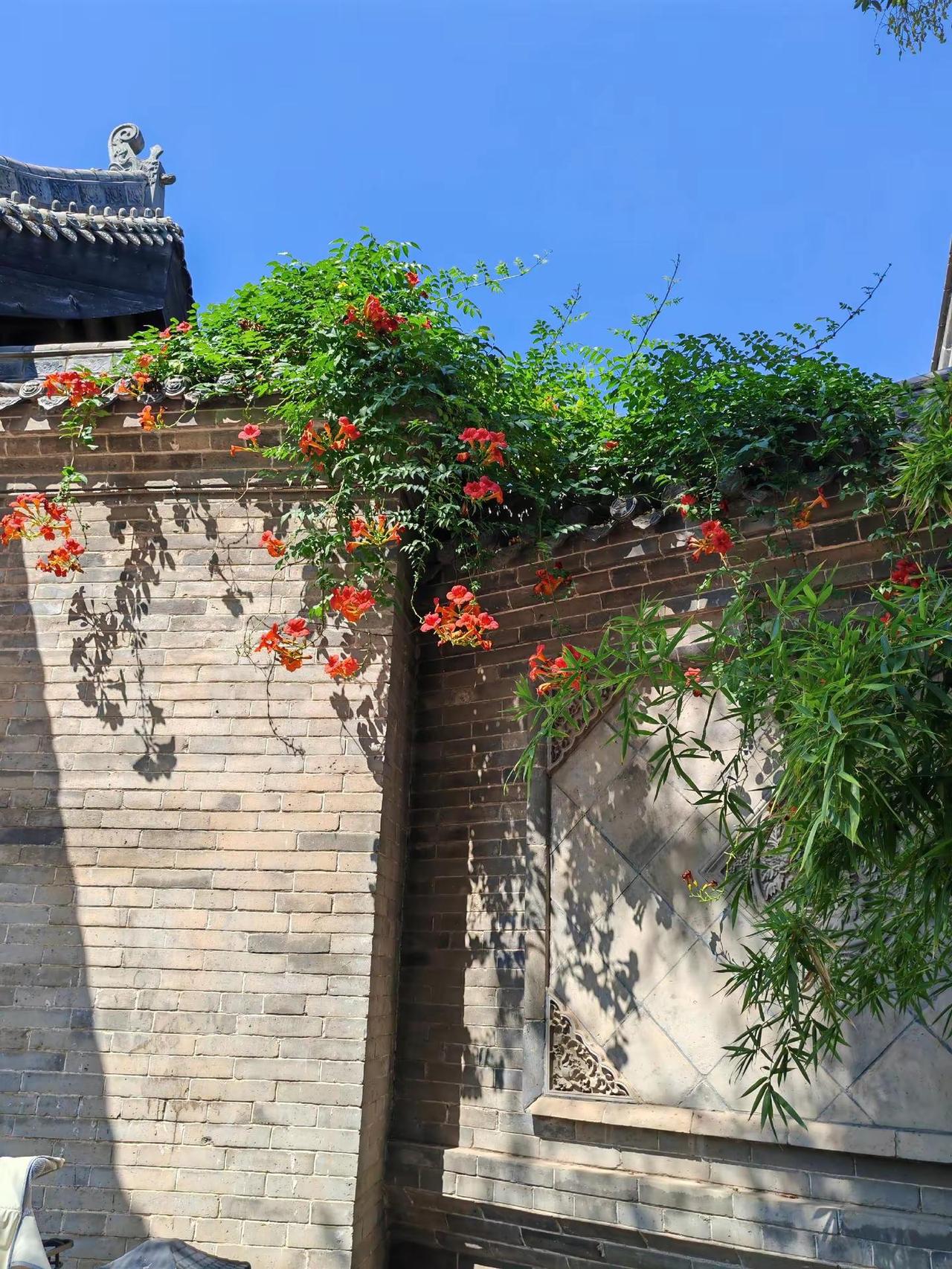 图文热点来了我的随手拍治愈系风景最美的风景在路上随手拍