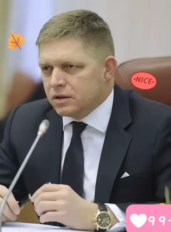 斯洛伐克总理突然宣布了，3月8日，斯洛伐克总理菲佐扔下一颗“重磅炸弹”：周二要面