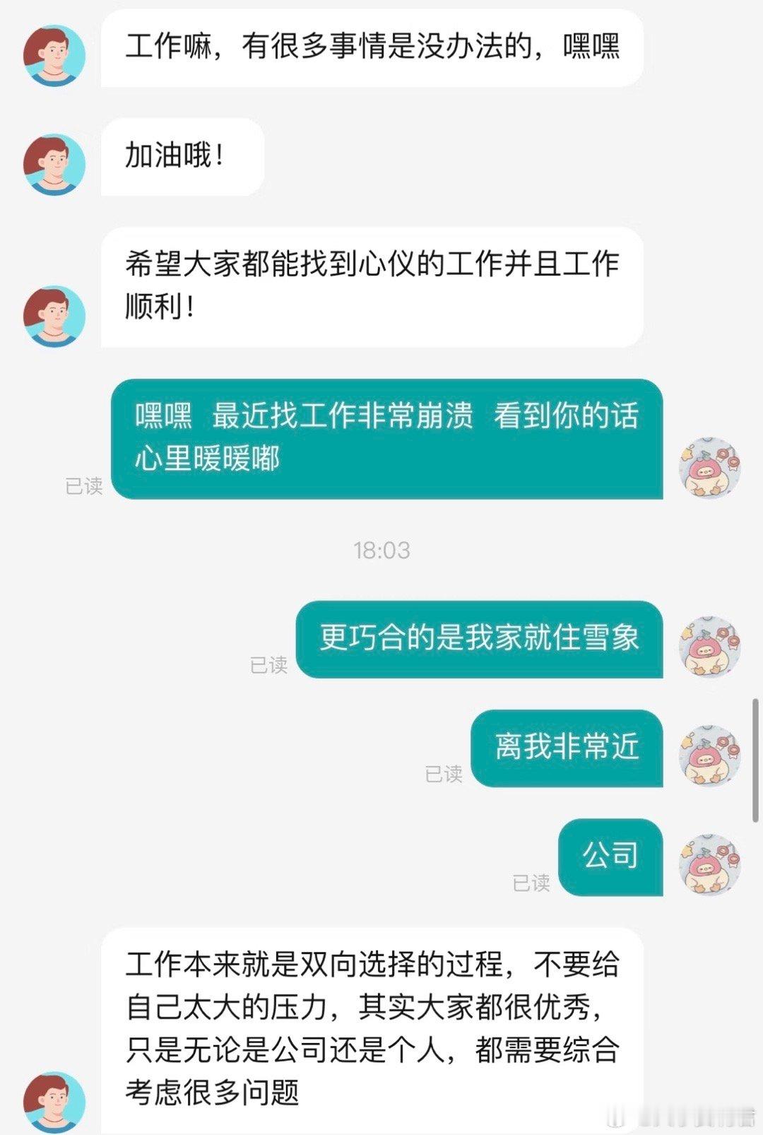 第一次遇到这样的hr