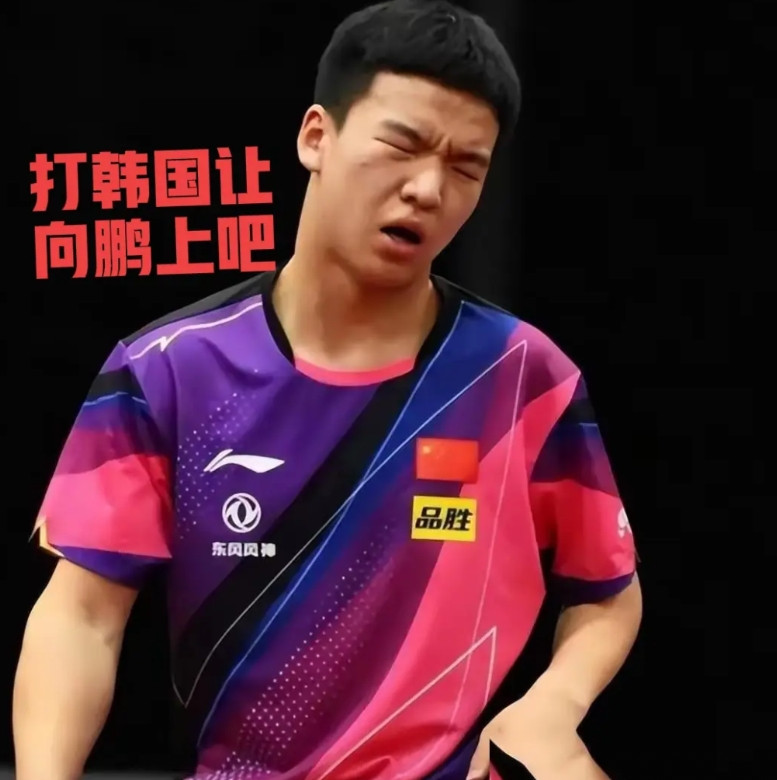 国乒给向鹏一个机会吧！梁靖崑都30岁了，打完这届都快退了，而且水平下滑严重，这
