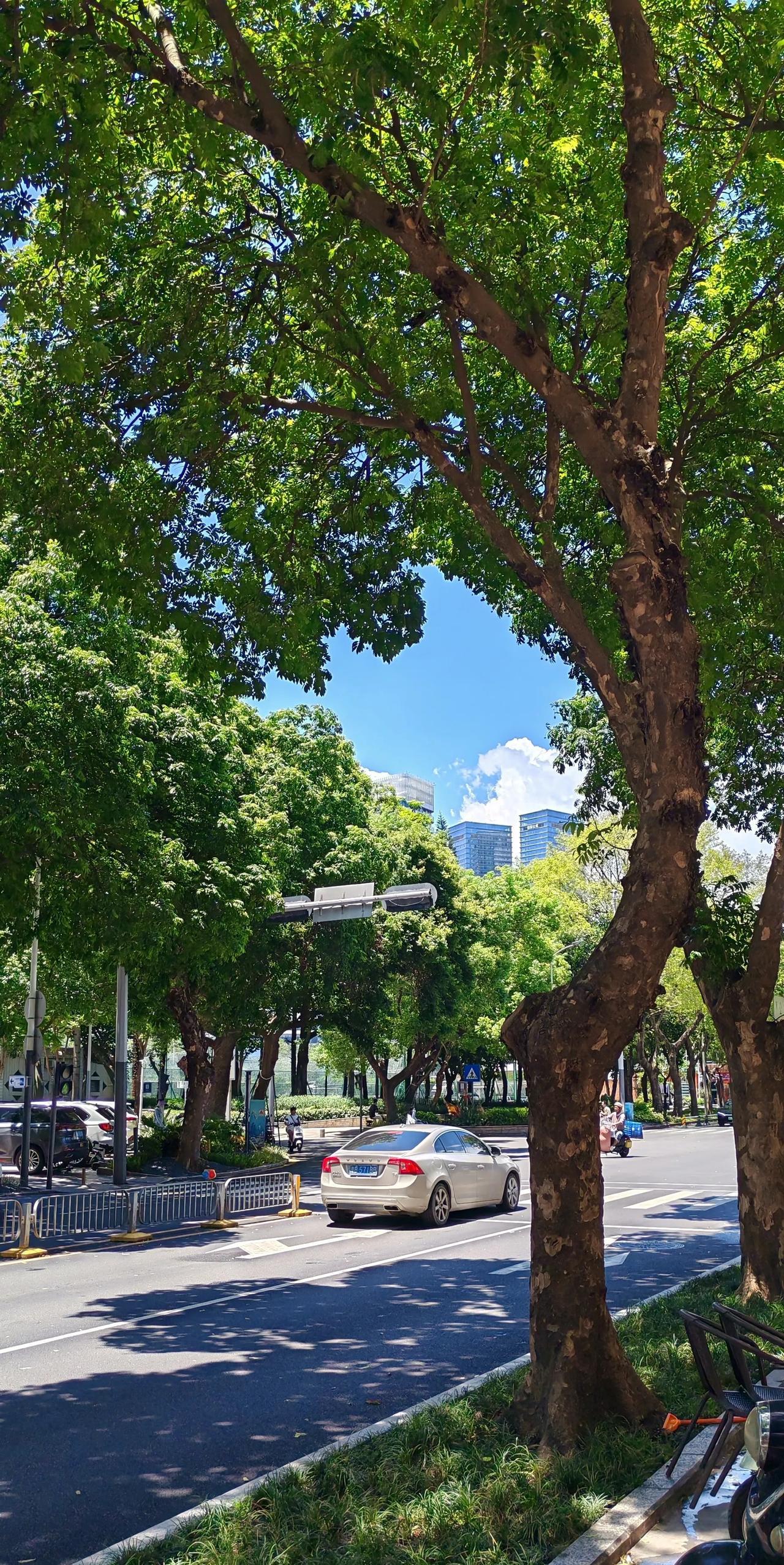 这是我听过关于出轨的最好的理由。某些男人或者女人之所以出轨，是因为他们的妻子或
