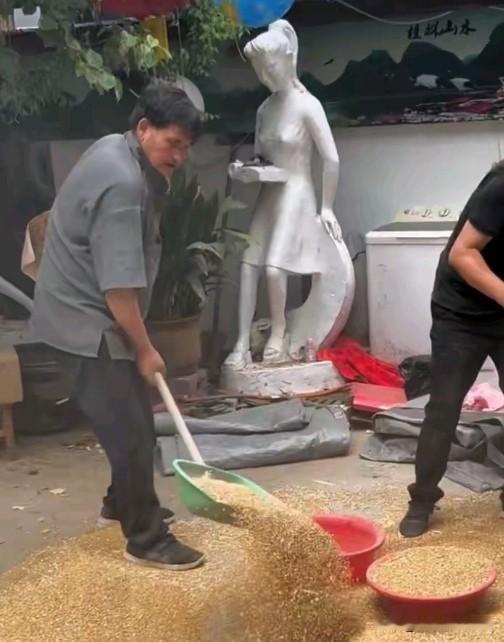 满院金麦迎丰收！大衣哥朱之文收完麦子，夜市小摊犒劳农忙。菏泽单县进入麦收季，朱