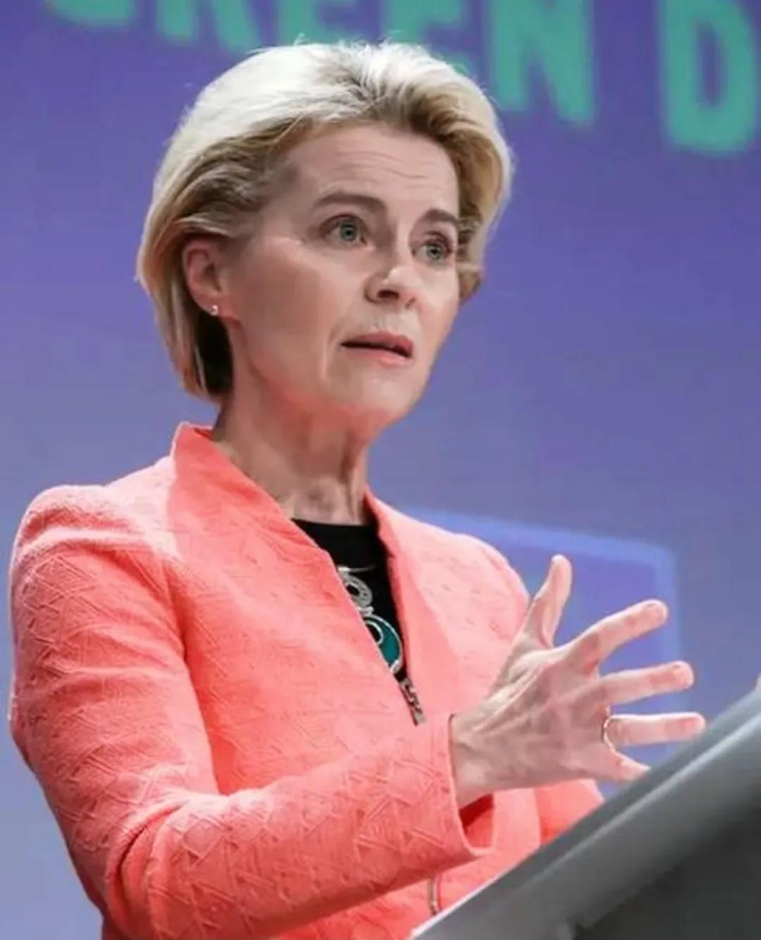 这欧盟是真的疯了还是装傻？冯德莱恩张嘴就是900亿欧元，这大笔一挥，全砸进乌克兰