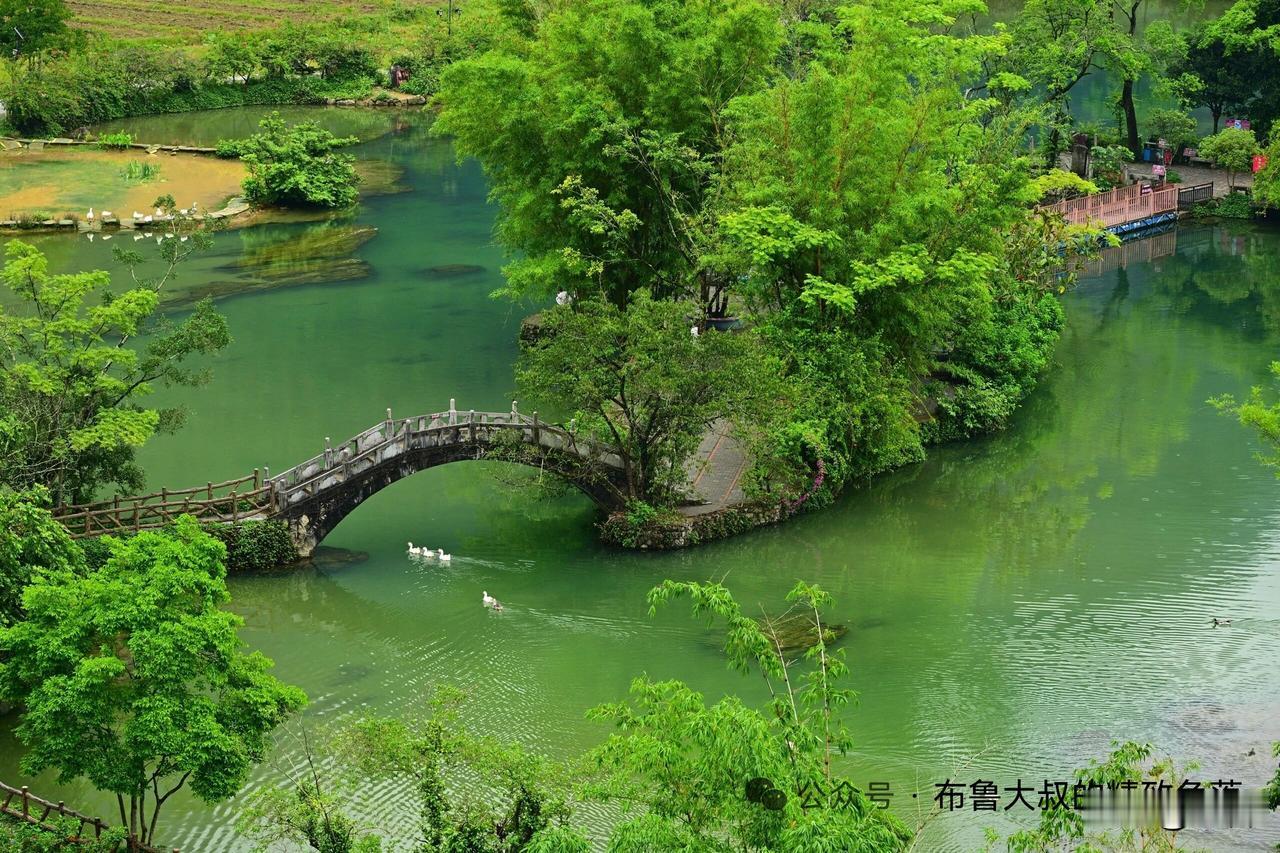 8个养发微习惯，轻松摆脱脱发、发量暴涨1. 睡前用气囊梳轻梳头皮3分钟，促