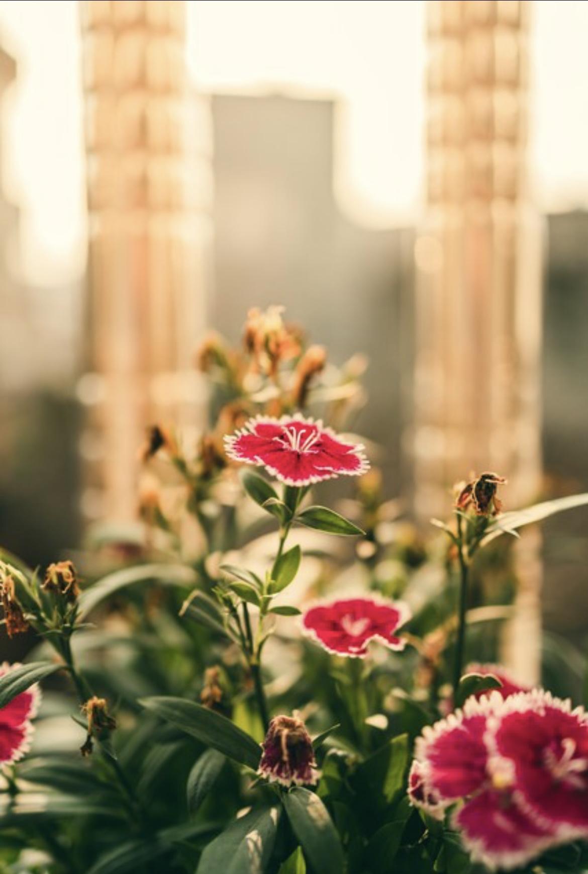 人生大半的疲惫与烦恼，说到底，不过是三个字：想太多。我们总习惯性内耗，为还未