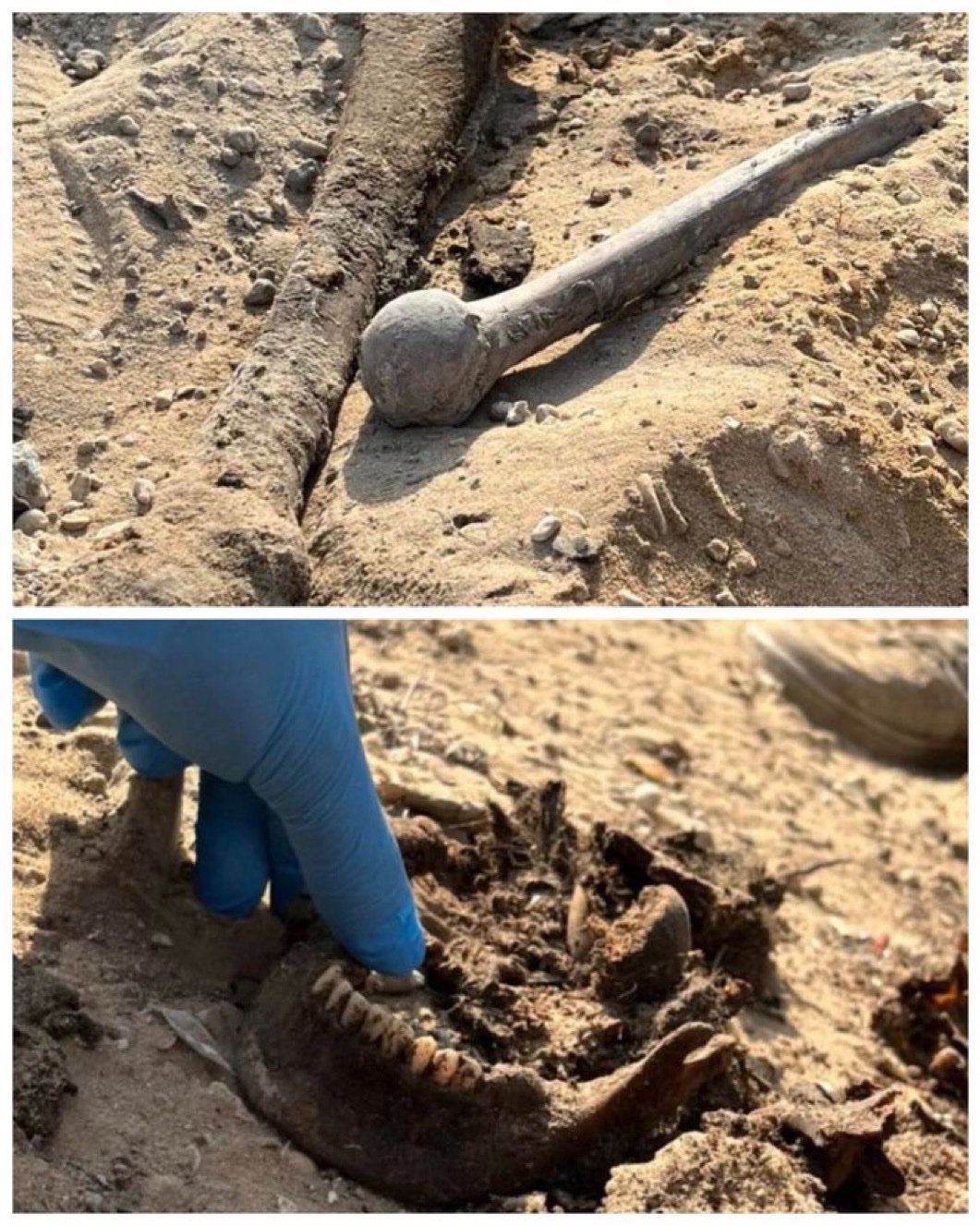 加沙的街道上布满了那些烈士和亲人的遗物，一片悲凉景象。