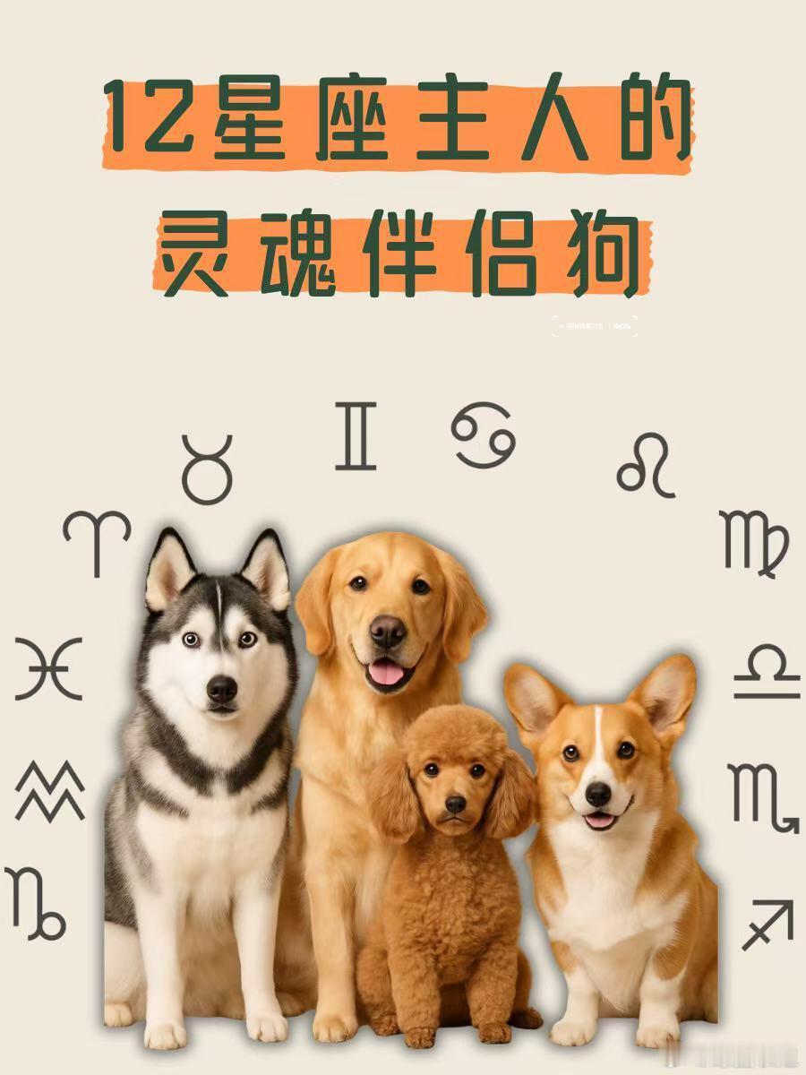 星座、十二星座12星座主人×最佳狗狗搭档指南！12星座最适合养哪种狗？看看