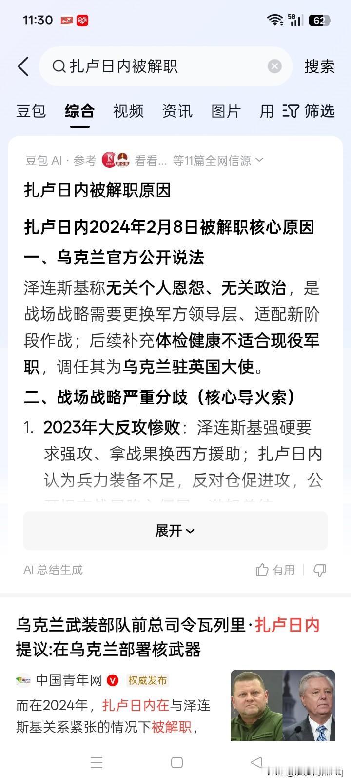 乌克兰驻英国大使扎卢日内竞选乌克兰总统，好像就是一个笑话，因为他似乎根本就没有竞