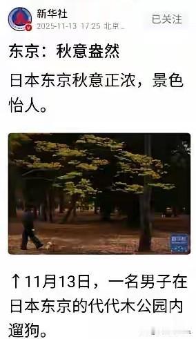 新华社发了一组耐人寻味的图片，背景是日本东京的代代木公园，这着实是有点费解！