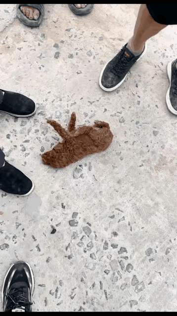 这狗还能要吗？男子抱着自己养的狗狗出去玩，可狗狗不想让抱，狗狗就朝男子手上咬