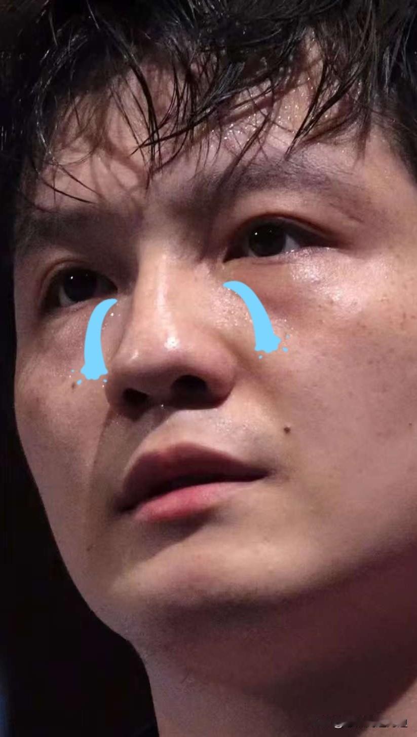 樊振东啊樊振东，你真的太可惜，偏偏在全网转播的关键场次遗憾失利。表面看只是丢