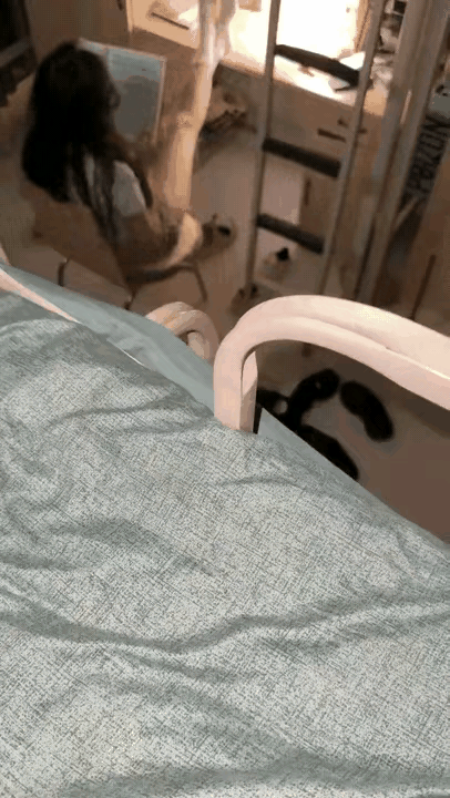 新年爱好打卡报告……女生宿舍里面，又有人不洗脚就上床睡觉……收到……看我怎么收拾