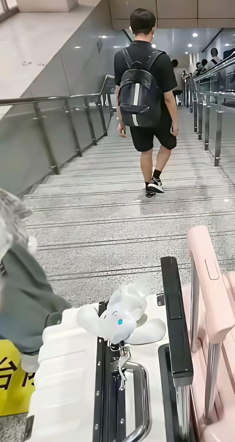 人到了中年再刷到行李箱吐槽这桩热事，蕞大的荒唐，是我们从小教孩子要乐于助人，