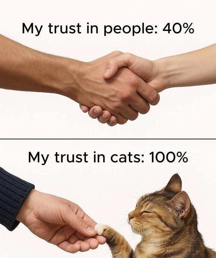 40%stilltoomuch此图有梗