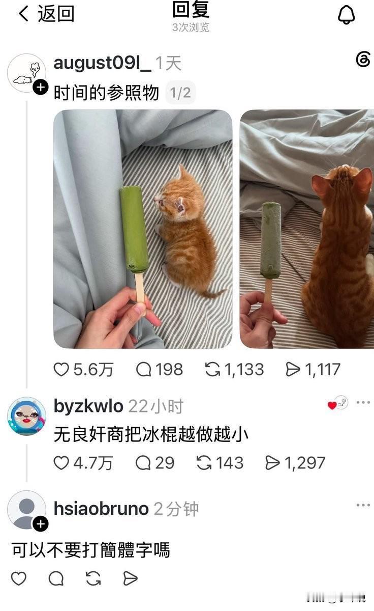 外网一个网友用简体中文发了一个简单的帖子：时间的参照物。同样的大小冰棍在小猫小的