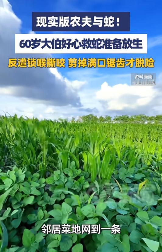 “现实版“农夫与蛇！”7月9日报道，浙江温州，一条蛇被防护网缠住，邻居不敢动，找
