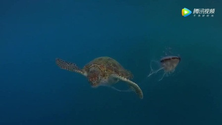 13887253547582966555.jpg?id=0