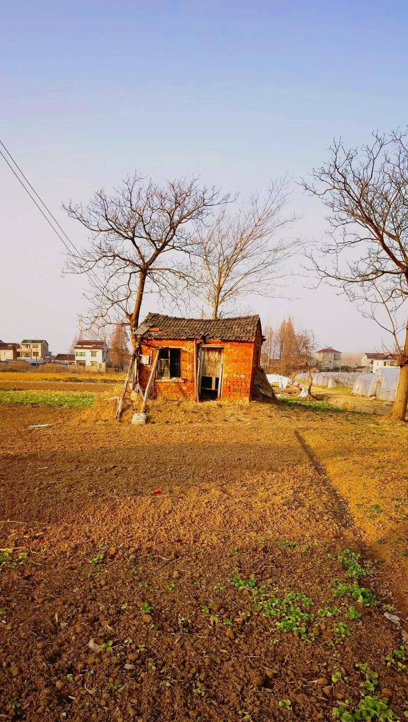 别买房。有钱回老家建。有钱租房。我贷款42万，30年期限，还了15年，目前本金
