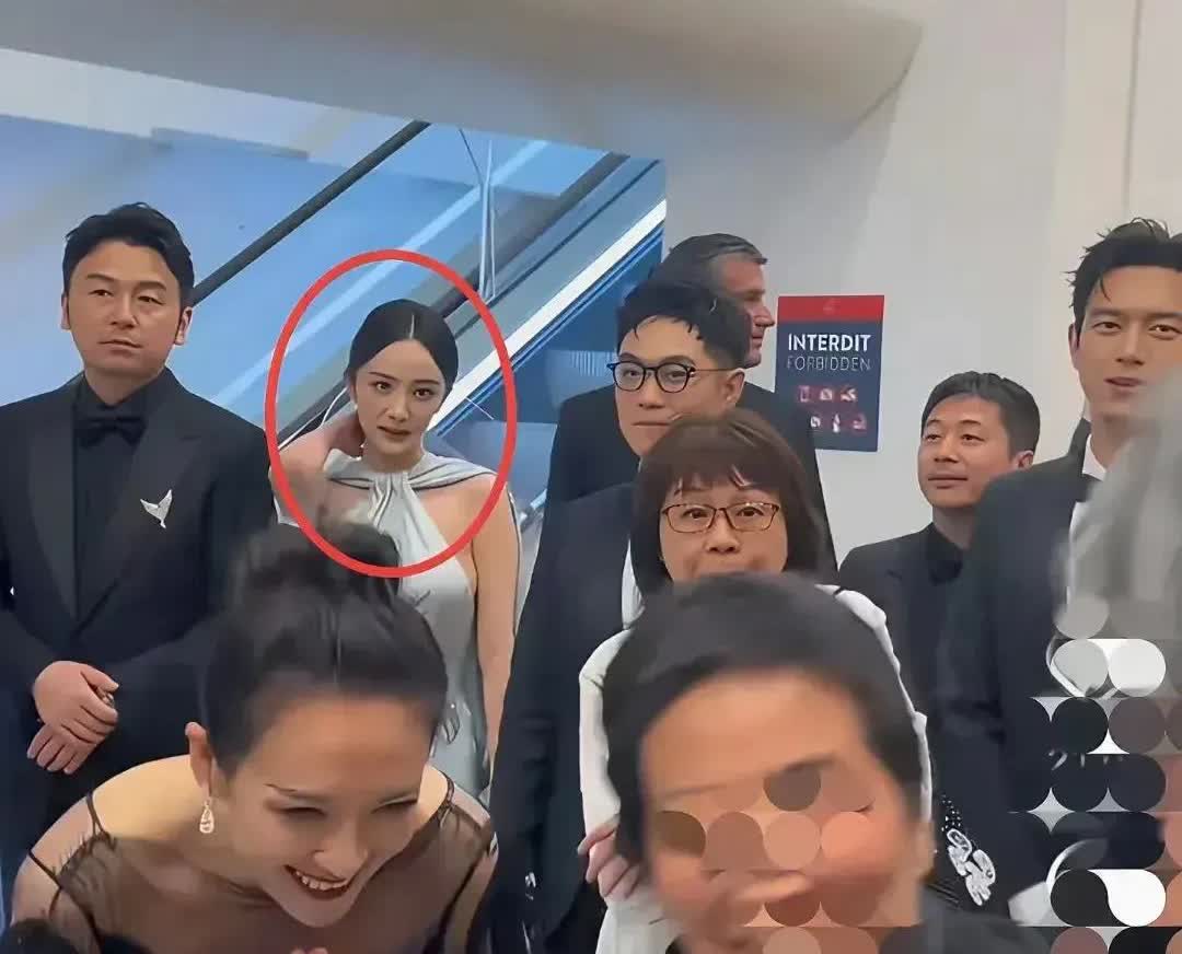 有点理解章子怡了为什么能这么火，不是没道理的提到《酱园弄》发布会，章子怡