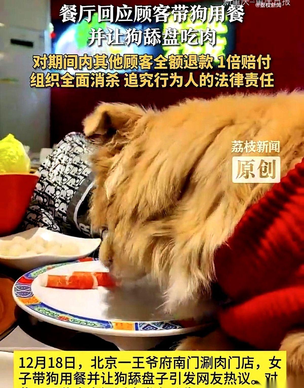 真绝了。一家涮肉店，关门整顿，三天内所有顾客全额退款，还要找人索赔34万。就